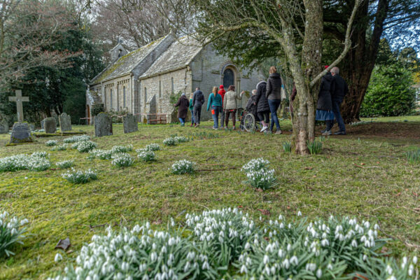 A group of people approach an old church through a church yard filled with clusters of snowdrops.