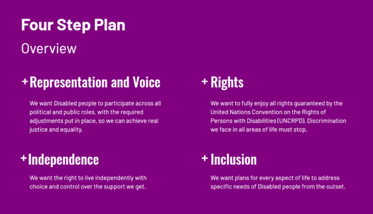 The four step plan overview- Representation, Rights, Independence and Inclusion