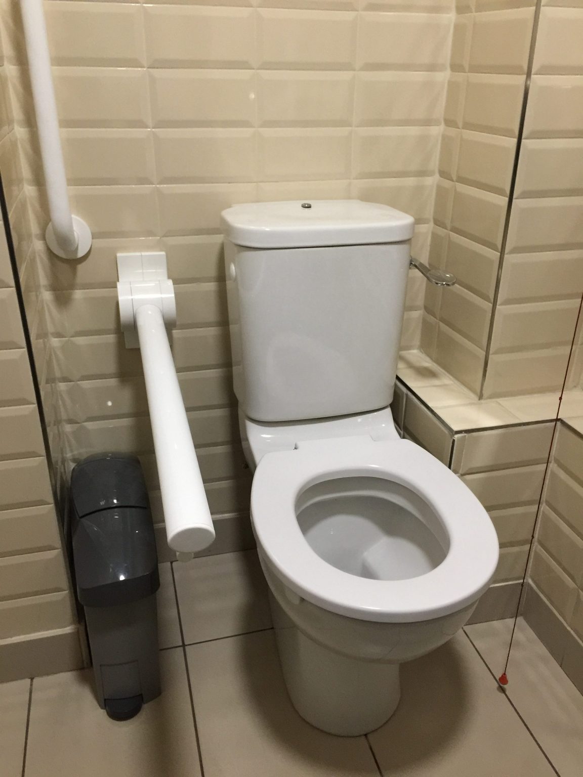An accessible toilet and handrail